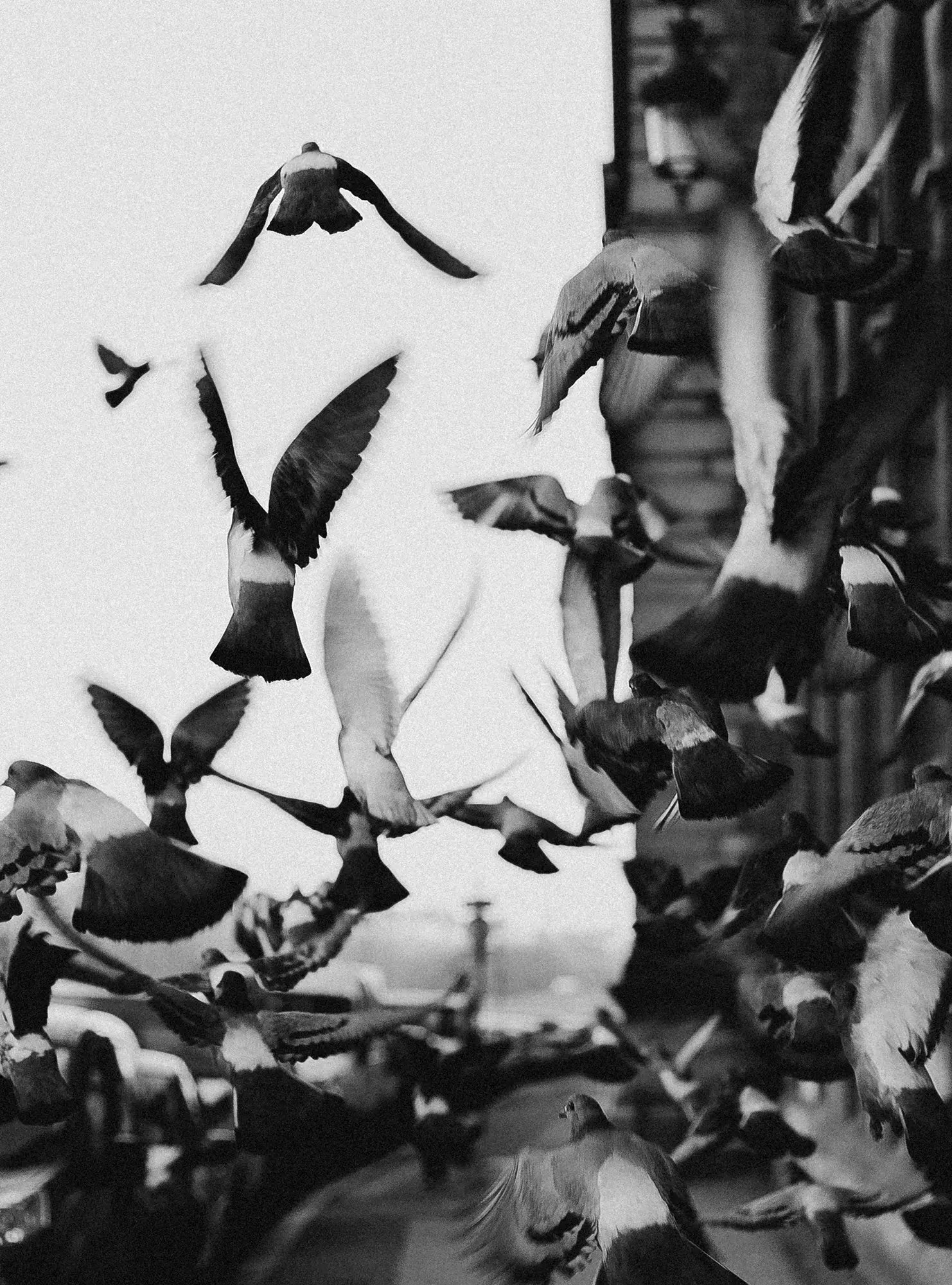 3900-example-page-creative-21