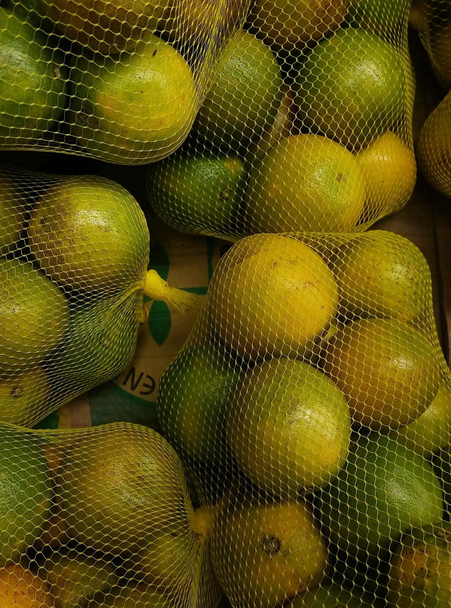 3900-example-page-creative-12